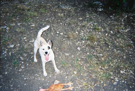 Myrtle is so much happier now!!