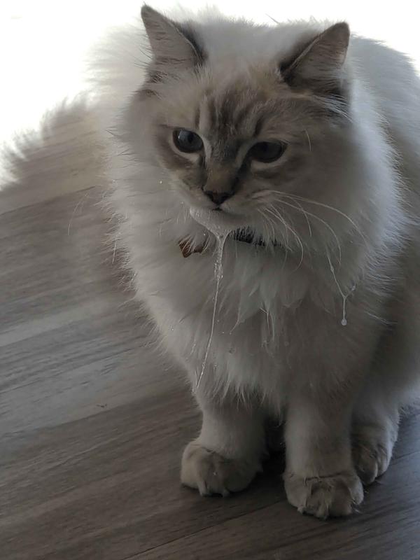 Medicine is very bitter