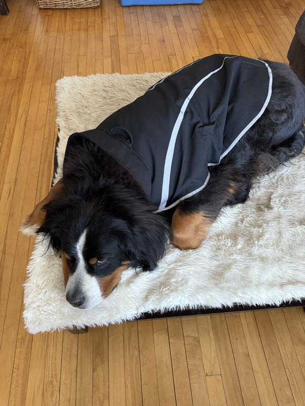 Frisco Bonded Wind & Water Resistant Dog Vest