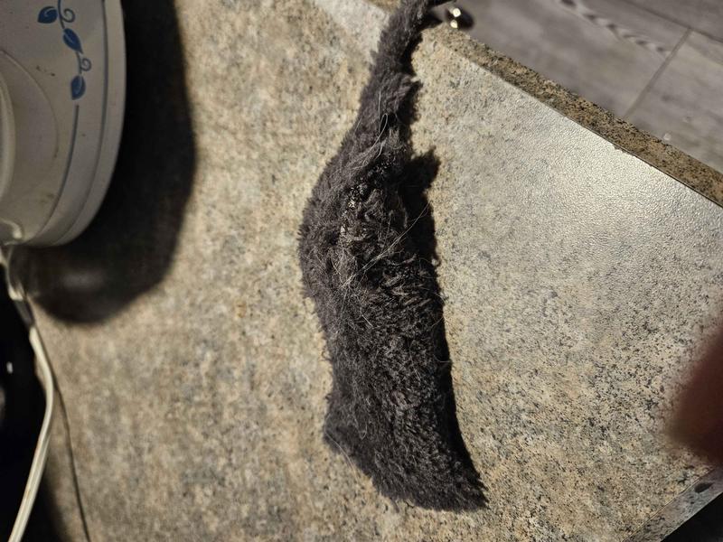 FRISCO 38in Cat Tree with Condo, Top Perch and Toy, Charcoal