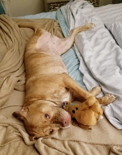Bella Dora shows her best side!