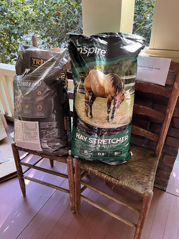 The dun mare on the right lives in my barn!