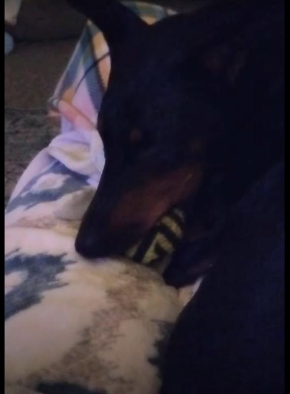 Gonna crunch it this time.