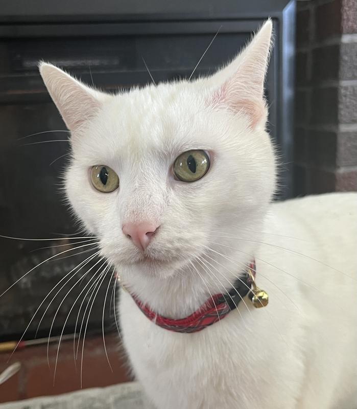 Tiberius lookin handsome