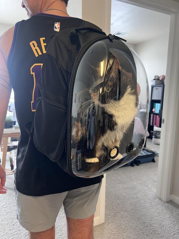 Big cat, Josie, in backpack