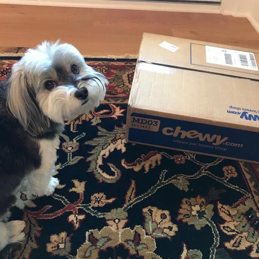 Our dogs smell right through the box.  Standing vigil!