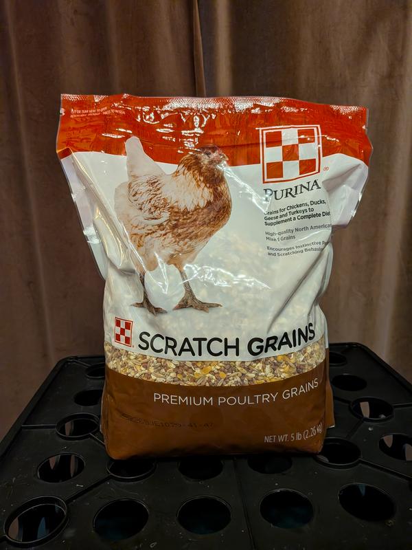 Purina Scratch Grains Poultry Feed, 50-lb bag - Chewy.com