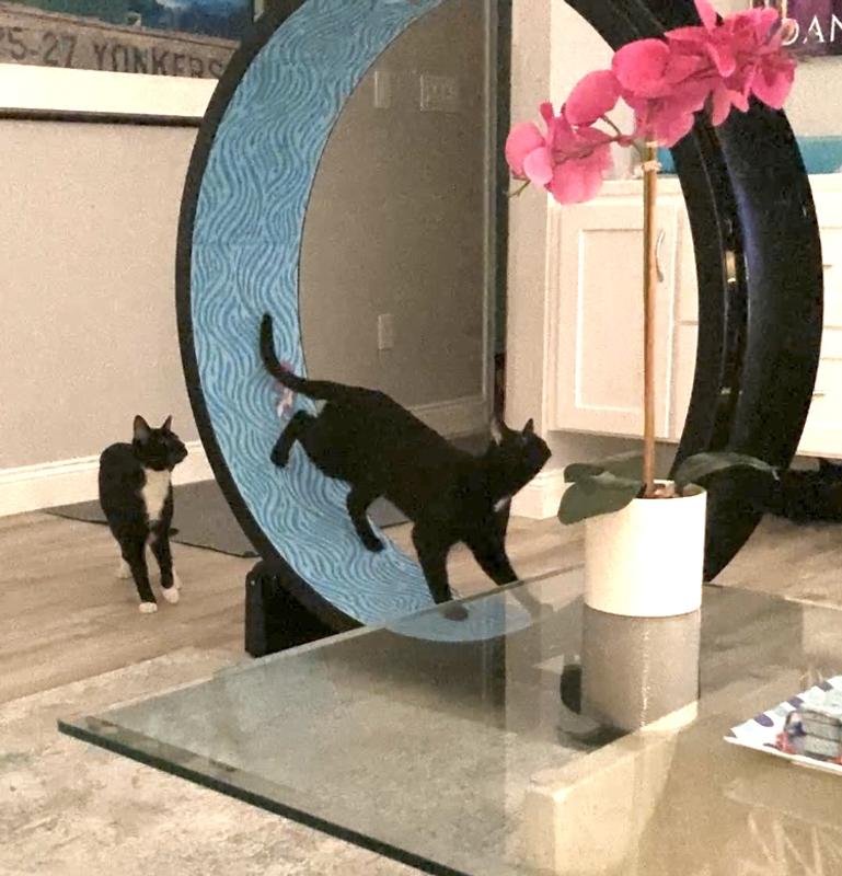 Early adopter right after assembly.