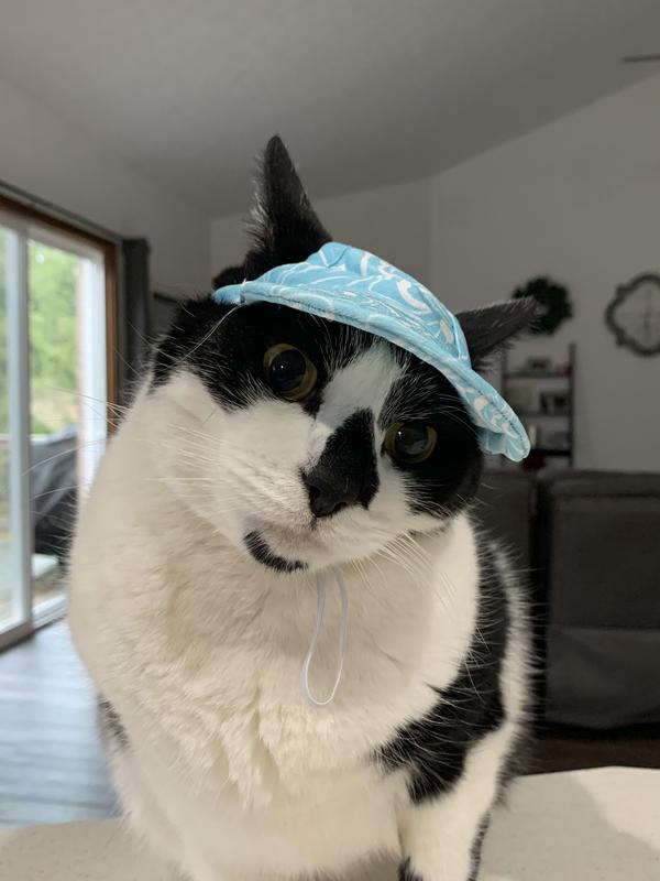 FRISCO Blue Ocean Waves 30 + UPF Dog & Cat Beach Cap, X-Small/Small ...
