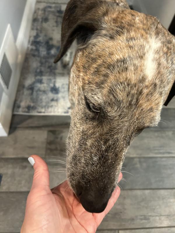 My dog liked the flavor of the wrap!