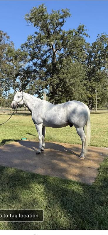 After bath and Vetrolin