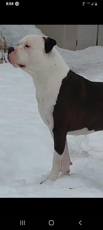 This boy loves the snow! He refuses to wear his winter jacket that cost a pretty penny!