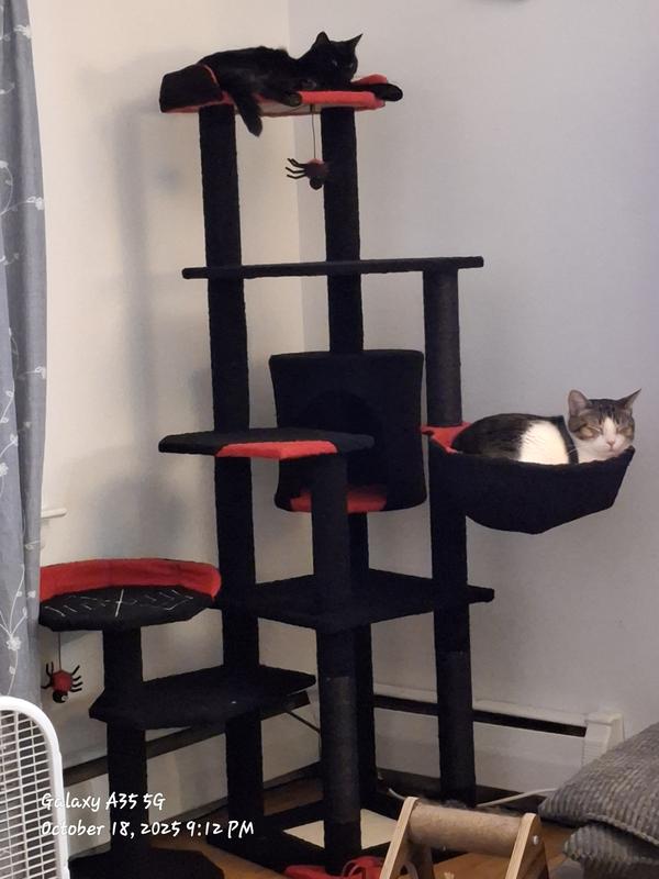 Paaaawsatifly great :)