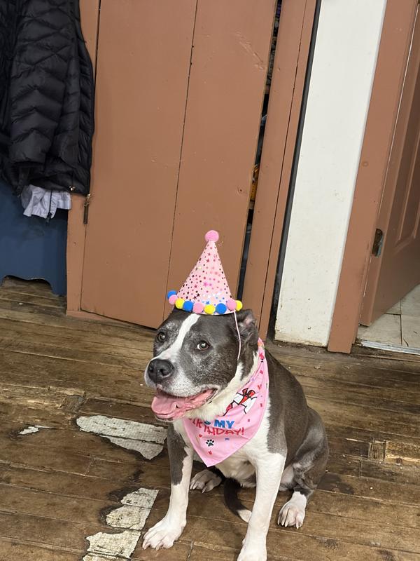 Happy Birthday Eva Marie