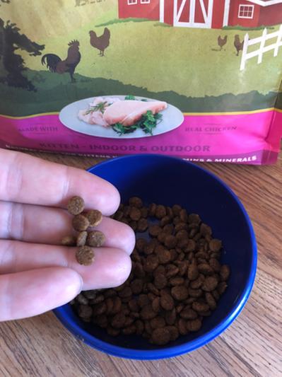 Discontinued WHOLE EARTH FARMS Grain Free Healthy Kitten Recipe Dry Cat Food 10 lb bag Chewy