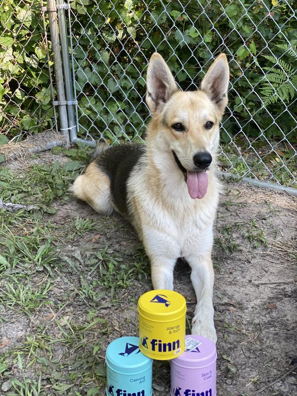 FINN Allergy & Itch Beef Liver Flavored Soft Chew Allergy Supplement for Dogs, 90 count