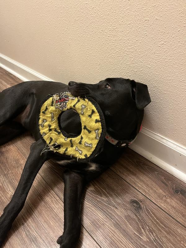 After approximately 6-7 weeks of much doggie love!