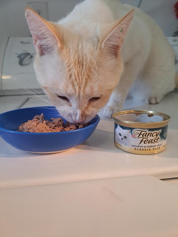 FANCY FEAST Classic Salmon Shrimp Feast Canned Cat Food 3 oz case of 24 Chewy