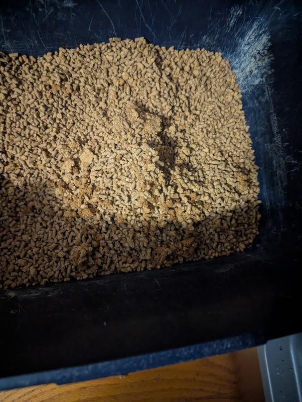 Clumps together nicely . No odor if not disturbed