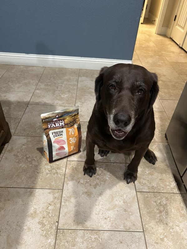 Patiently waiting on her yummies.