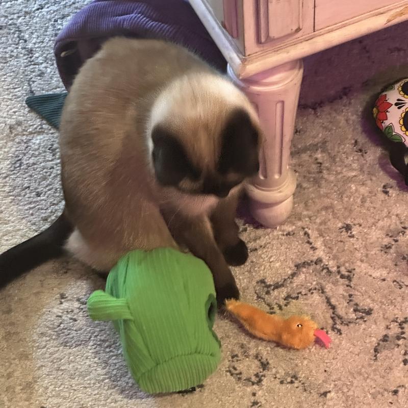 Zippy Claws Cactus Burrow Toy