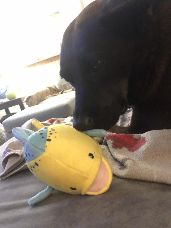 She loves her fishy so much!