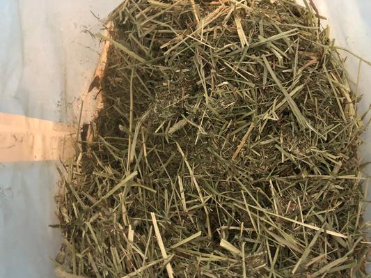 Inside the bag.  Every handful seems to yield more dust than hay.