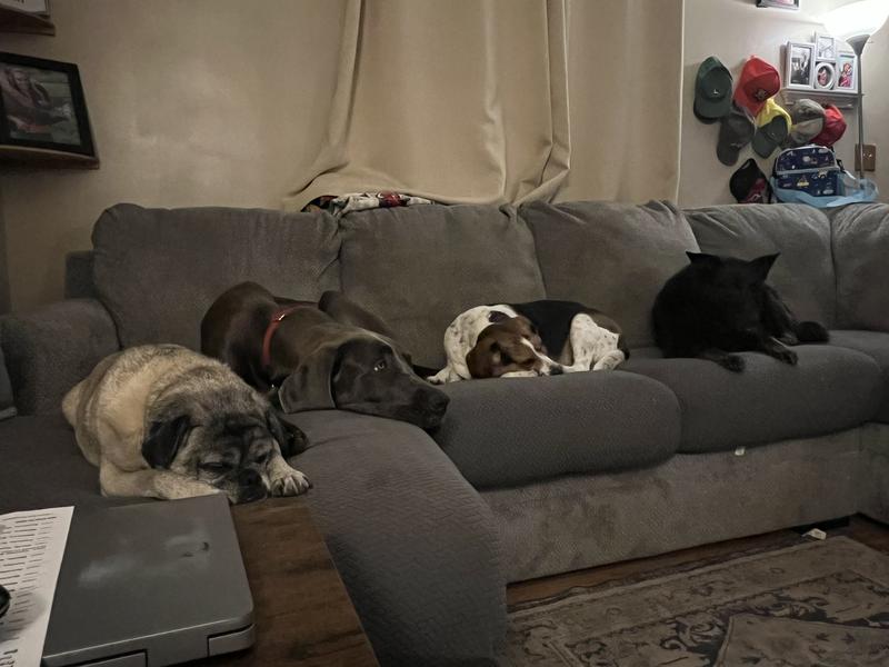 Good for two of these, too large for the other two.