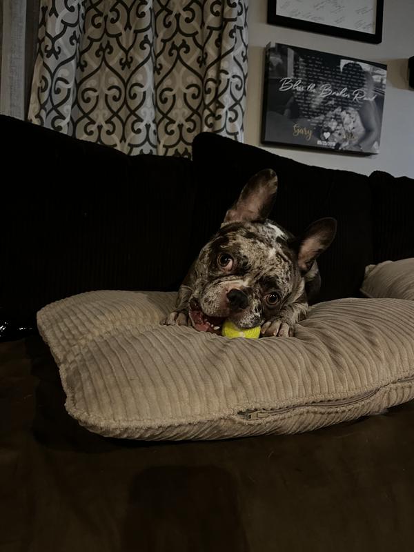 Playing with his new favorite toy!