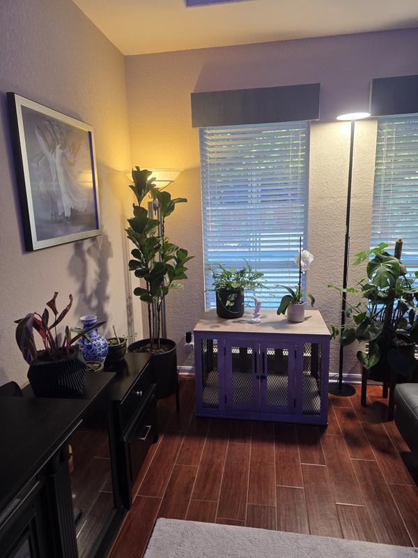 In my living room