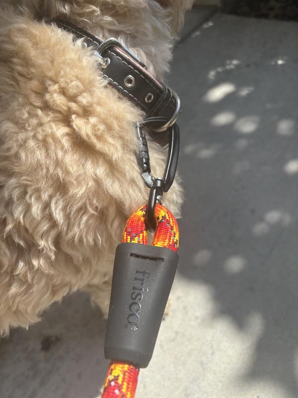 How it fits on a collar