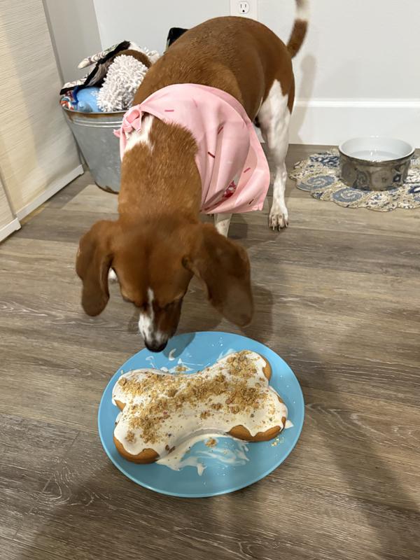 Delicious! I want more!