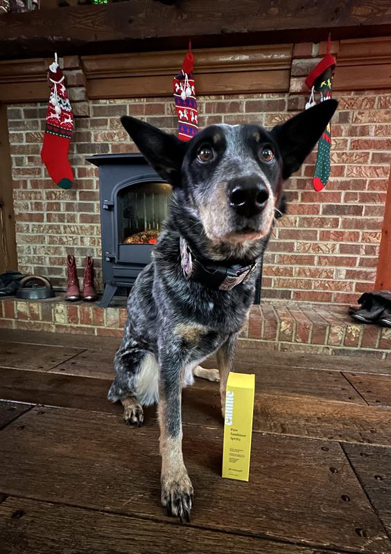 “Really, I get to see my gift early?”