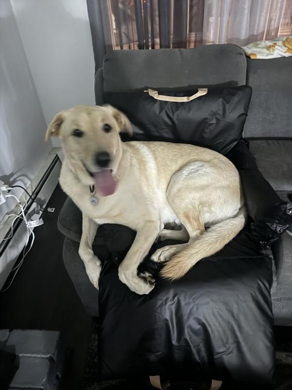 Leaning on Cushy Armrest.