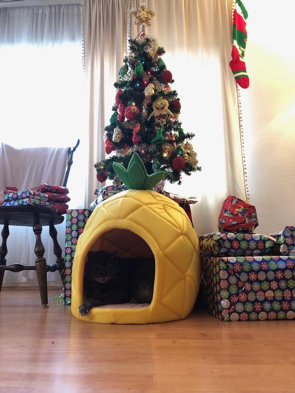 YML Pineapple Covered Cat Dog Bed Small Chewy
