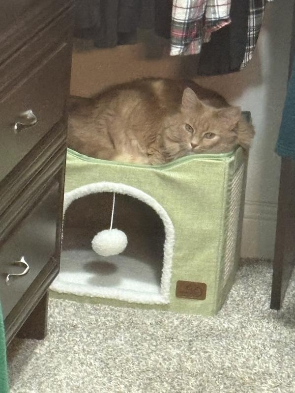 Cozy and comfy nap time