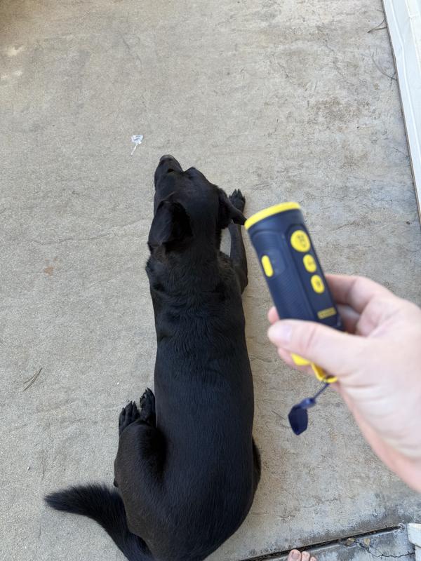 Look how well it works, most of the time I don’t even have to hit the button, she just focuses!