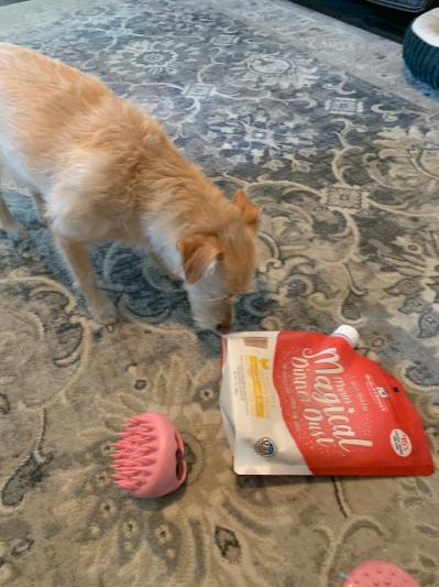 Stella and Chewy's freeze dried raw Marie's Magical dinner dust reviews in  Dog Food & Treats - ChickAdvisor