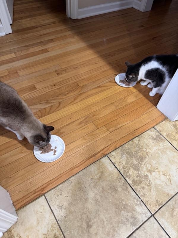 The two ladies lunching!