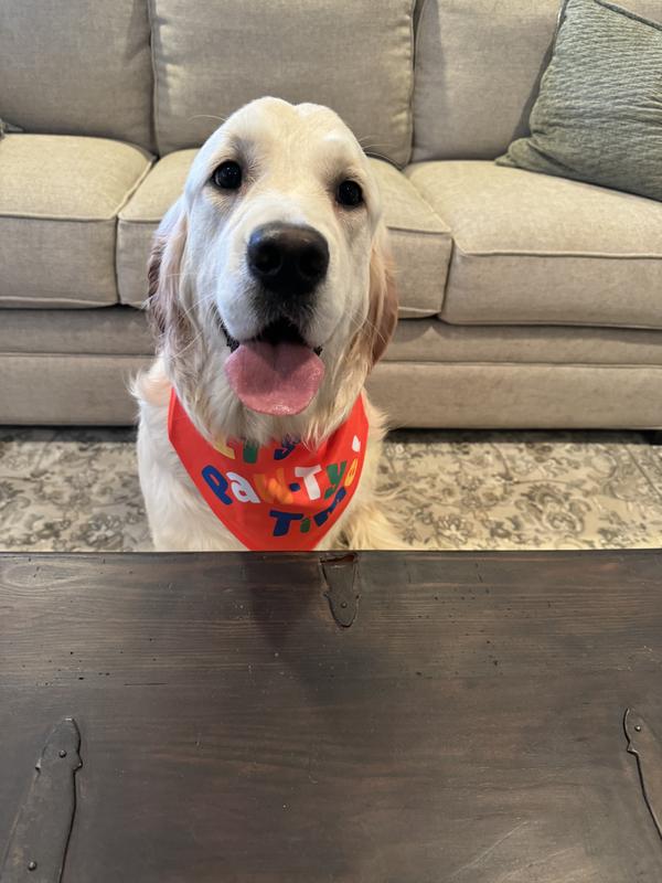 Celebrate with this one!