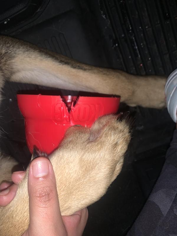KONG Dog Wobbler Large – Vets Love Pets