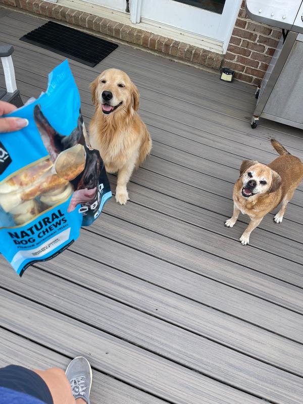 Meg and Tess waiting patiently