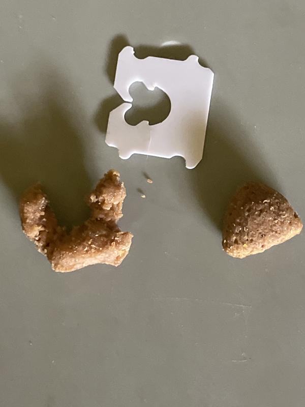 Larger than my pup able to chew.