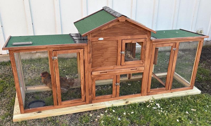 Perfect for my 1 chicken that was bullied out by my other chickens.