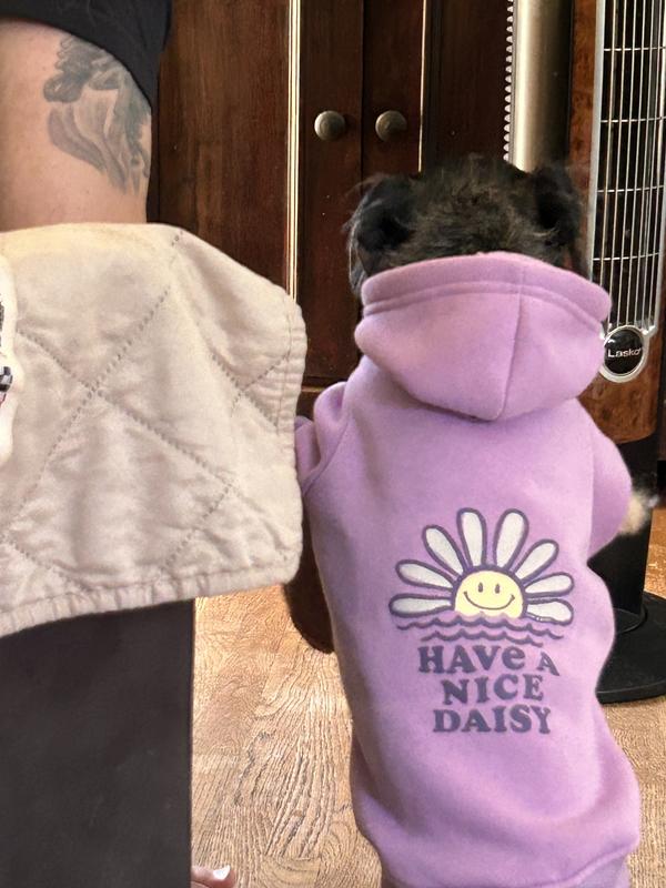 Sweatshirt fun!
