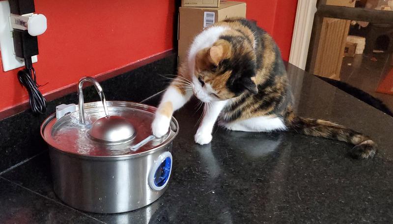 Dipping her toe beans