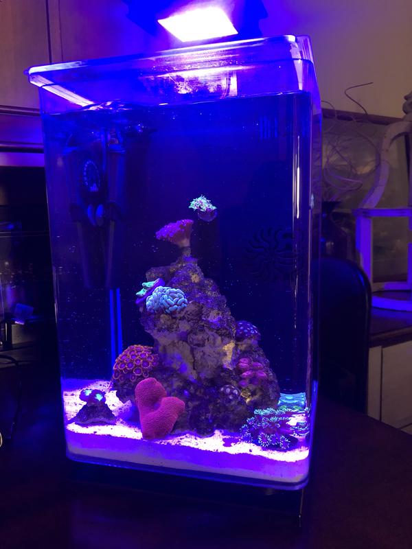 Slim design and easy to set heater