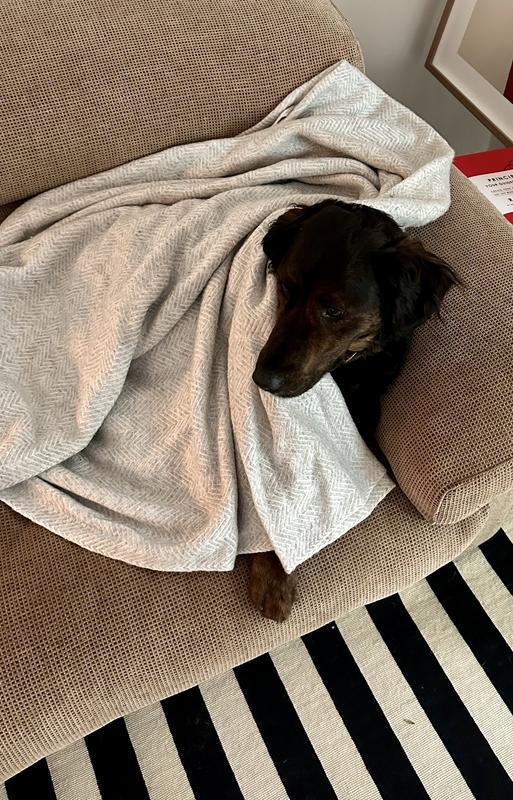 Yes I have cashmere throw