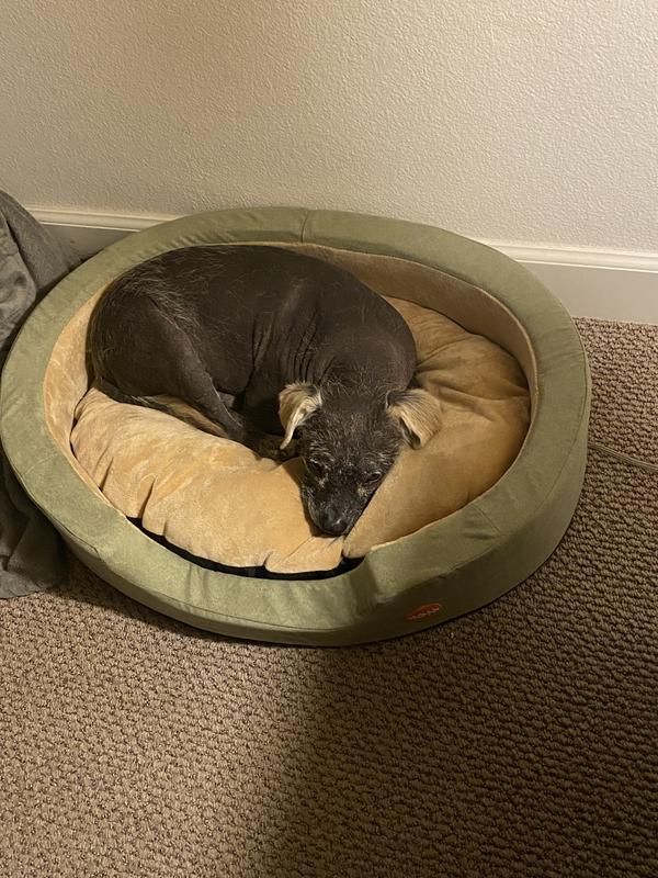 Nacho enjoying his warm bed