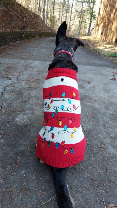 Dog christmas sweater with lights hotsell